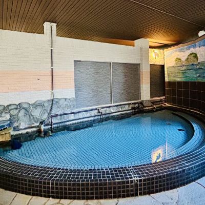 Western-Style Room (with Toilet, No Bath) [Twin Room] [Non-Smoking] アレーズド・バレ　ＳＨＩＲＡＨＡＭＡ クーポン