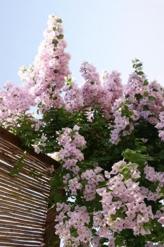 BanSala Villas Villa