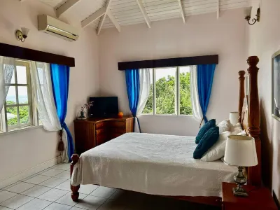 Luxury 5-Bed Villa in Tobago the Big Yellow House Hotel a 