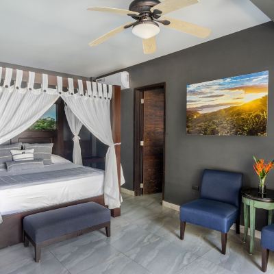 Deluxe King Room with Garden View Hotel Palo Verde Promo Code