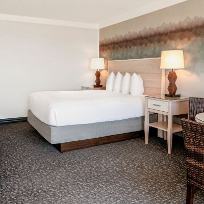 Traditional 1 Queen Bed (Pet Friendly) Hallmark Resort - Newport Promo Code