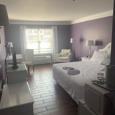 Standard King Room with City View French Quarter Inn Promo Code