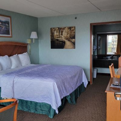 Basic King Room Downtown Inn and Suites Promo Code