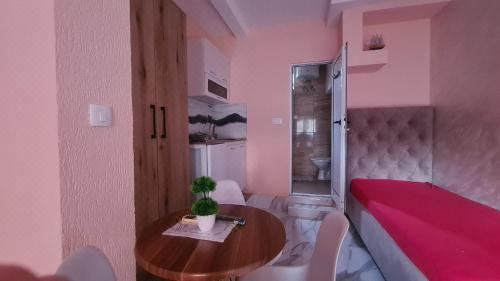 带园景一室公寓