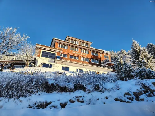 伯格松內酒店 瑞吉山