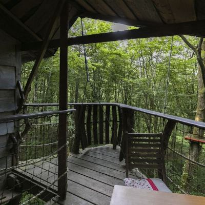 Panoramic Tree House, Multiple Beds