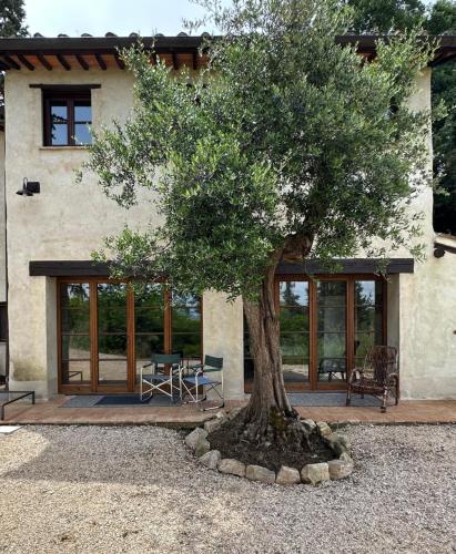 公寓 - 地面楼层