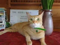 Nozaki