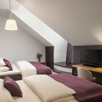 小型房 摩德茲查爾斯橋酒店優惠