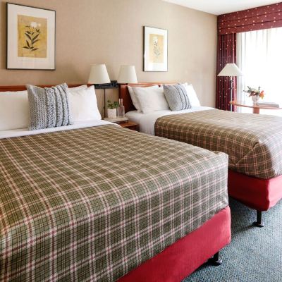 Standard Two Double Room Marmot Lodge Jasper Promo Code