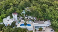 Daymond Blue Tropical Lodge Các khách sạn ở 