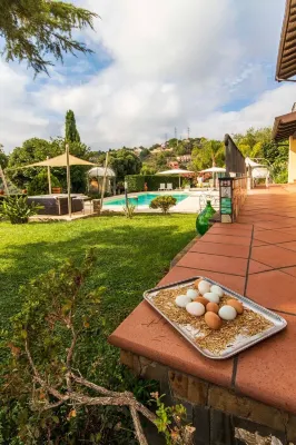 Il Mirto B&B