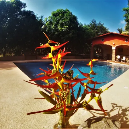 Quinta Comala Hotel & Villas Отели в г. Комала