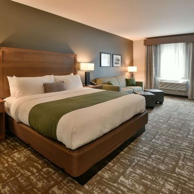 Deluxe Room, 1 King Bed with Sofa Bed (Single King Deluxe) GrandStay Hotel & Suites Promo Code