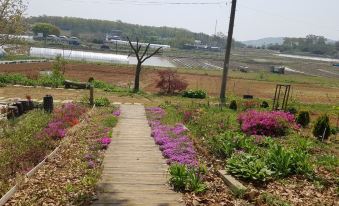 Ganghwado So Tree Farm Pension