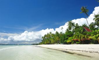 Blue Ocean Bohol Beachfront