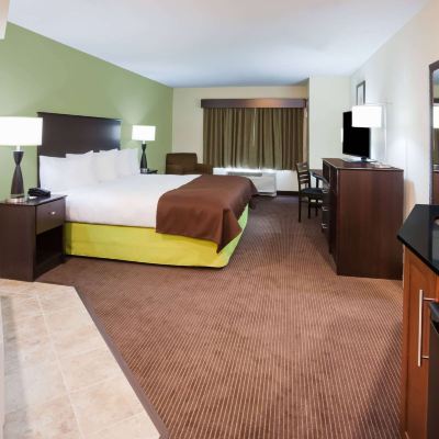 One-Bedroom King Suite - Non-Smoking AmericInn by Wyndham DeWitt Promo Code