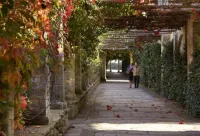 Hever Castle Luxury Bed and Breakfast Hotele w: 