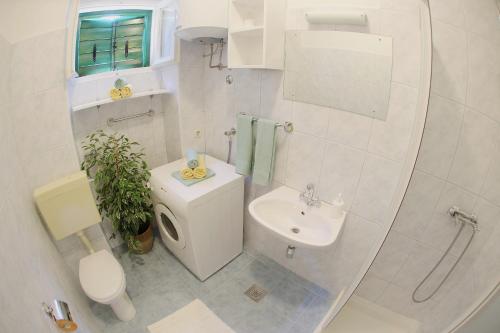 别墅（带独立泳池）