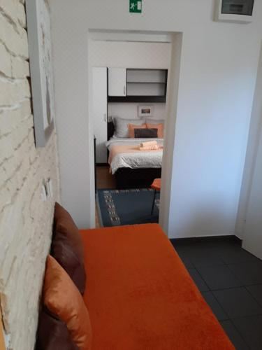 一室房 - 地面楼层