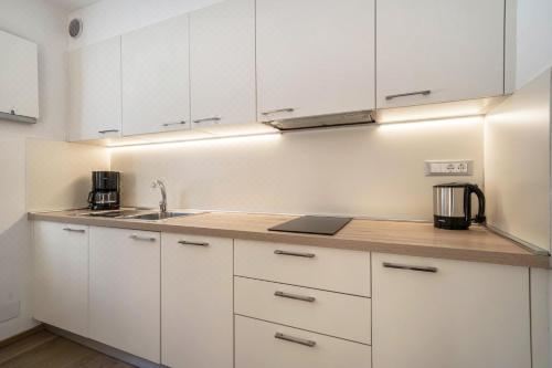 高级两卧室公寓