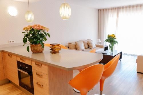 高级一卧室公寓 - 带露台