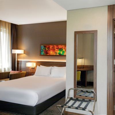 甄選大床房 可吸煙 伊斯坦堡卡德柯伊假日酒店優惠