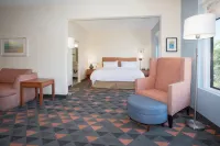 Holiday Inn & Suites GOODYEAR - WEST PHOENIX AREA by IHG