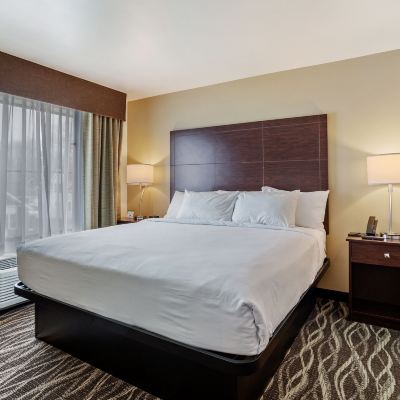 Suite, 1 King Bed With Sofa Sleeper, Accessible Tub, Kitchenette, Non Smoking Cobblestone Hotel & Suites-Little Chute Promo Code