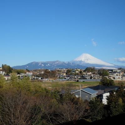 和風ルーム 伊豆畑毛温泉　大仙家 クーポン