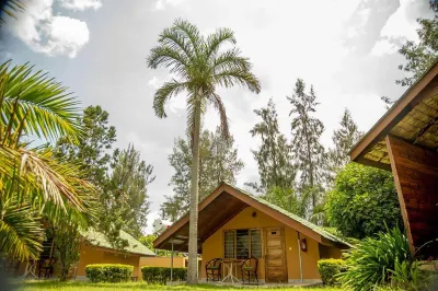 Meru View Lodge Hotels in 