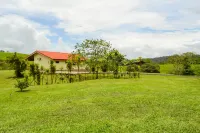 Termales del Bosque & Hot Springs Hotels in 