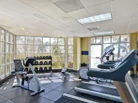 Hampton Inn Mobile-East Bay/Daphne Hotels in Daphne