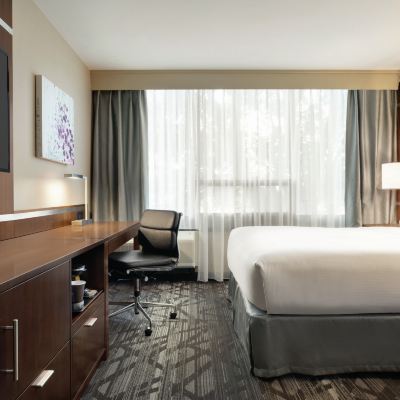 行動聽力無障礙大床房（帶淋浴） 希爾頓逸林飯店多倫多機場西店優惠