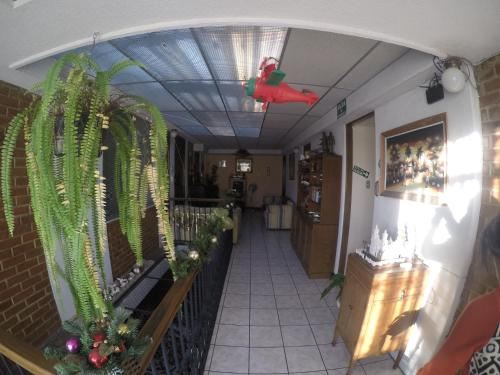 双人房（带独立浴室）