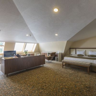 Deluxe Suite, 1 Bedroom, Mountain View
