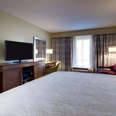 Guest Room With 1 King Bed And Sofa Bed-Hearing Accessible-Non-Smoking Hampton Inn & Suites Cordele Promo Code