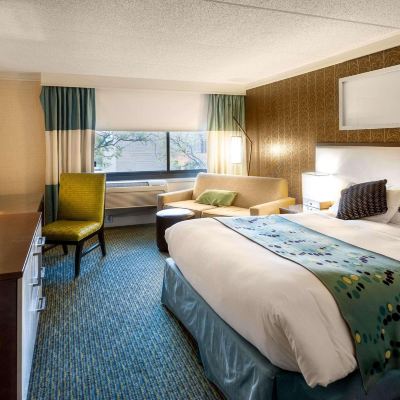 King Room With Sofabed Radisson Hotel Corning Promo Code