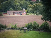 Flackley Ash Country House Hotel Hotels in Rye