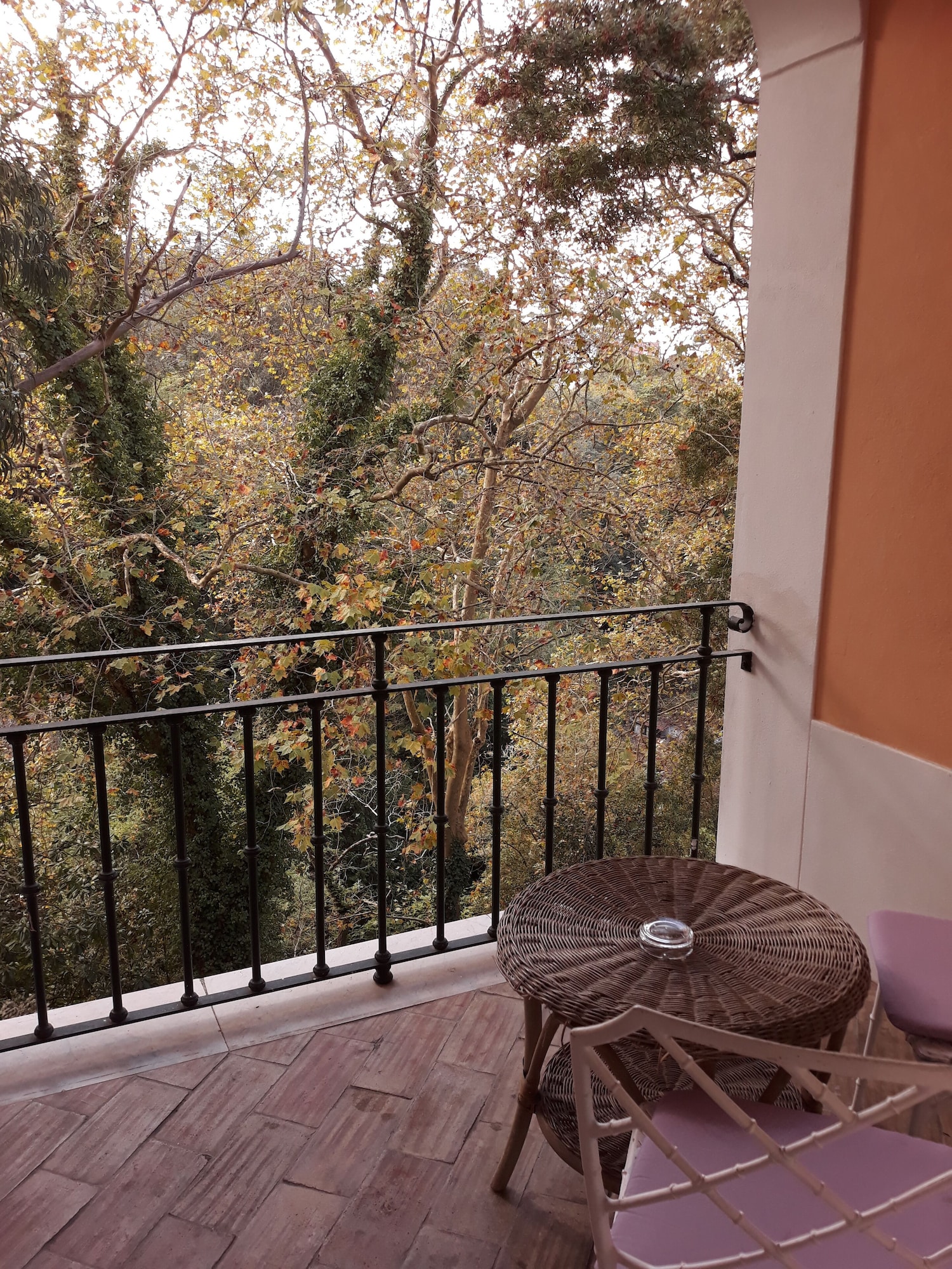 高级双人或双床房