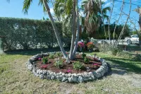 Siesta Motel