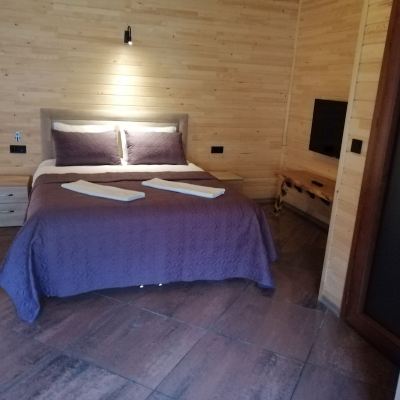 Business Double Room, Non Smoking, Mountain View