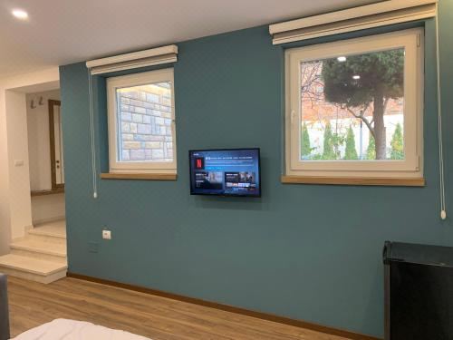 带园景一室公寓