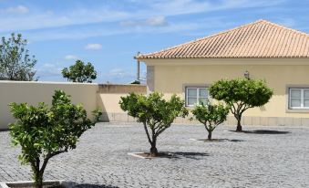 Quinta do Condestável - Guest House - Housity