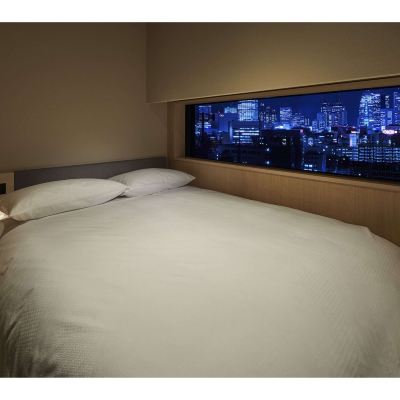 小型雙人房 新宿苑溫泉日式旅館優惠