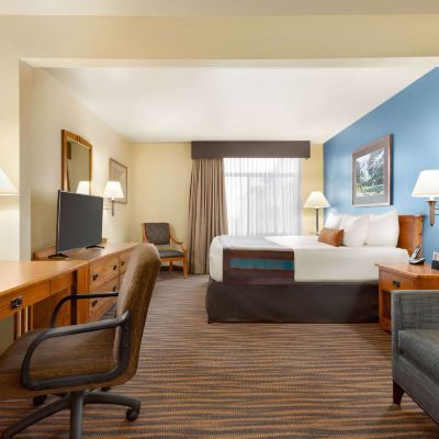 Deluxe King Room-Non-Smoking Wingate by Wyndham Denver Tech Center Promo Code