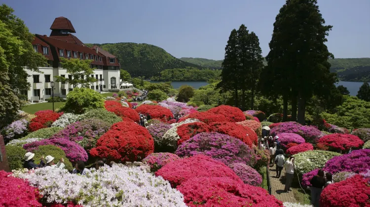 小田急山のホテル 外観