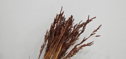 海景豪华两卧室公寓