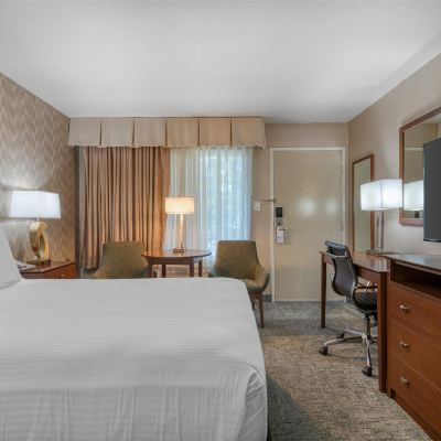 1 Queen Bed, Non-Smoking, Refrigerator, Wi-Fi Best Western Seven Seas Promo Code