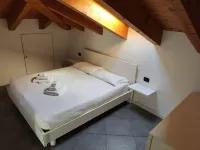 تشيتشي ديباندانسي